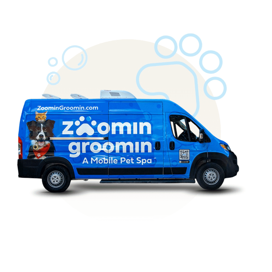 Zoomin Groomin branded mobile pet spa van with door opening — moving billboard advantage for franchise owners